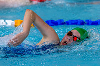 Scholes Midsummer Meet 2026 - 12/06/26 Friday