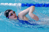 Scholes Midsummer Meet 2026 - 14/06/26 Sunday